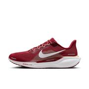 Florida State Nike Zoom Pegasus 41 Shoes